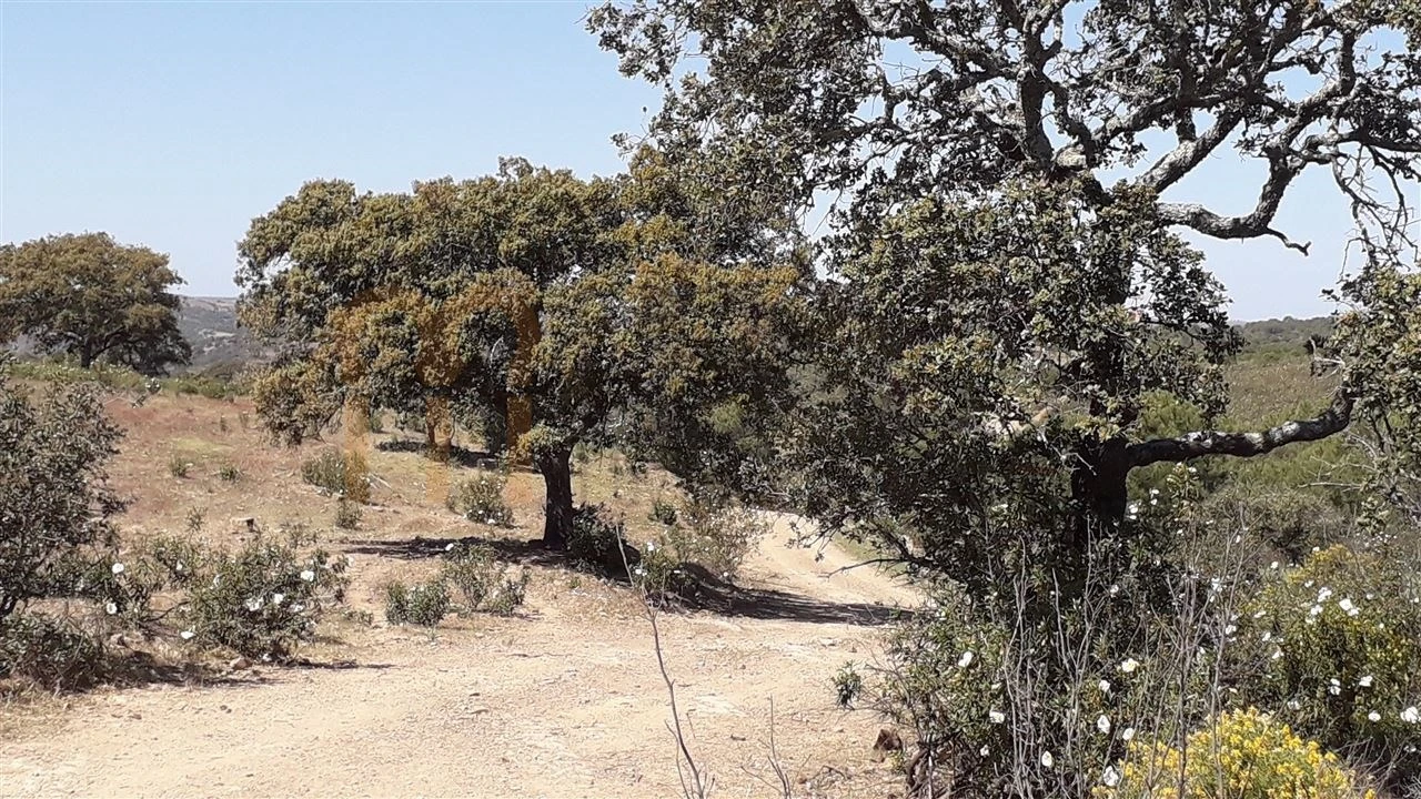 Terreno Agricola ou Rústico para Venda em Alcoutim e Pereiro Foto 1