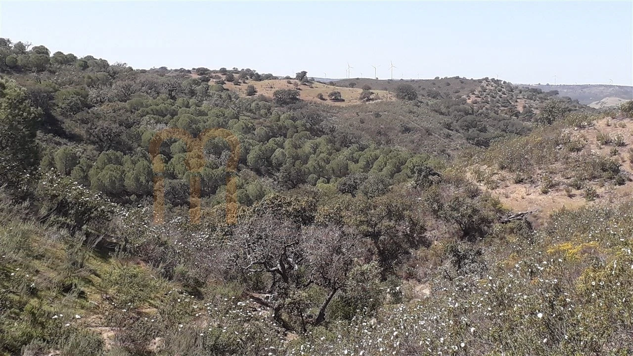 Terreno Agricola ou Rústico para Venda em Alcoutim e Pereiro Foto 3
