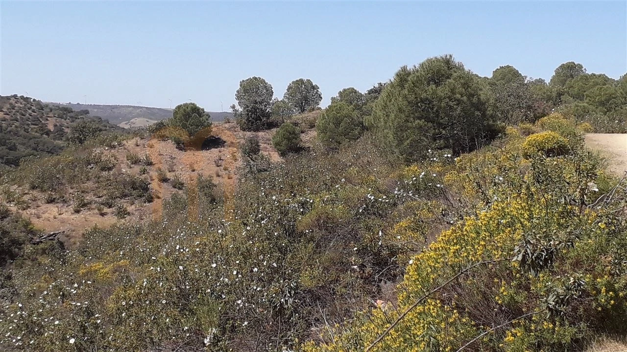 Terreno Agricola ou Rústico para Venda em Alcoutim e Pereiro Foto 4