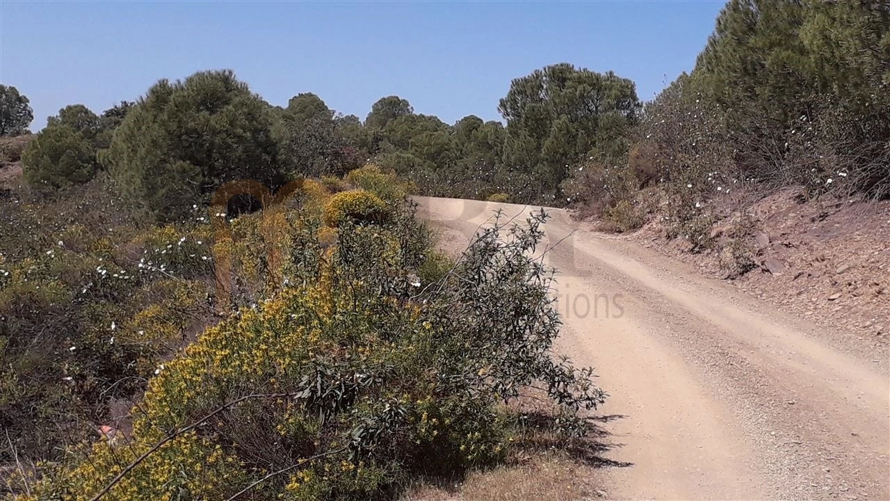 Terreno Agricola ou Rústico para Venda em Alcoutim e Pereiro Foto 5