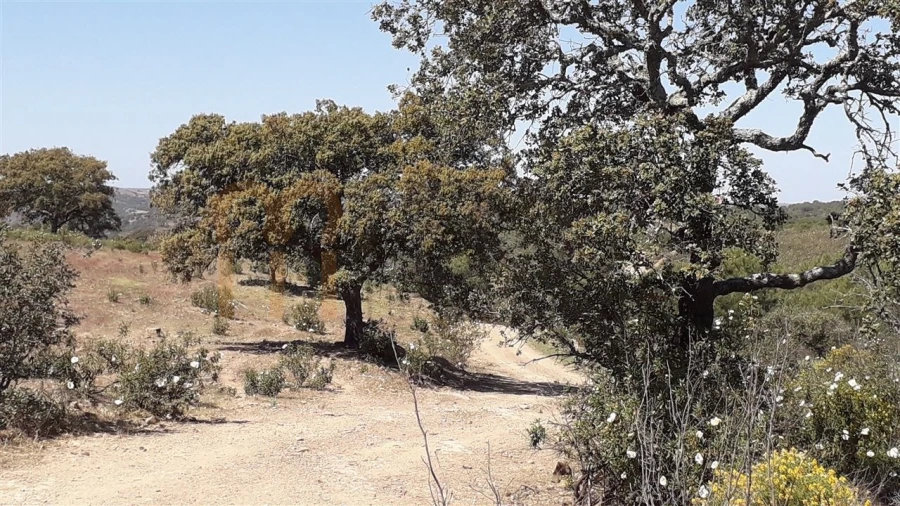 Terreno Agricola ou Rústico para Venda em Alcoutim e Pereiro Foto 1