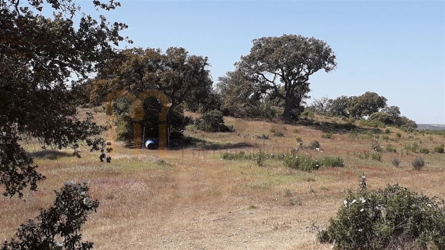 Terreno Agricola ou Rústico para Venda em Alcoutim e Pereiro Foto 2
