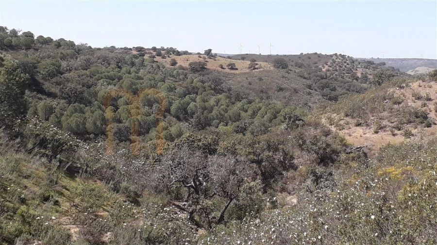 Terreno Agricola ou Rústico para Venda em Alcoutim e Pereiro Foto 3