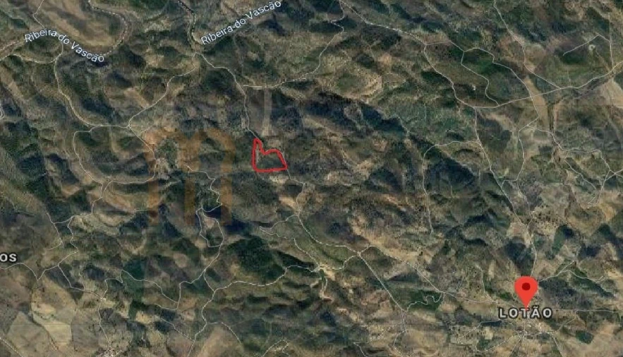 Terreno Agricola ou Rústico para Venda em Alcoutim e Pereiro Foto 8