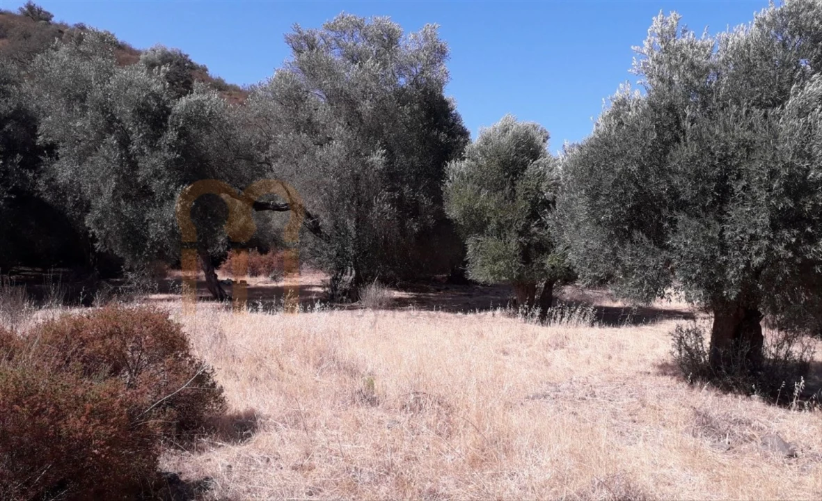 Terreno Agricola ou Rústico para Venda em Alcoutim e Pereiro Foto 6
