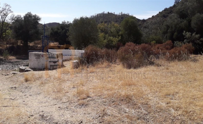 Terreno Agricola ou Rústico para Venda em Alcoutim e Pereiro Foto 2