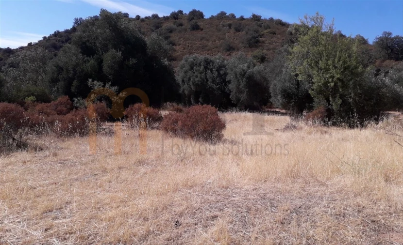 Terreno Agricola ou Rústico para Venda em Alcoutim e Pereiro Foto 3