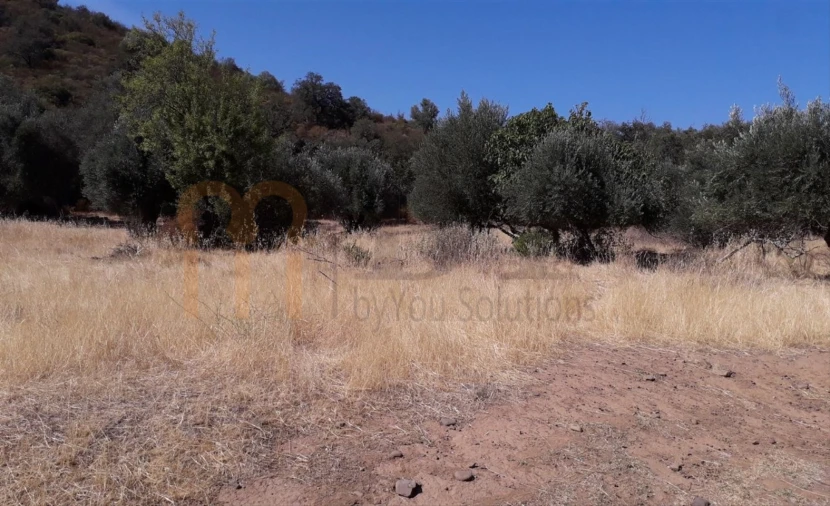 Terreno Agricola ou Rústico para Venda em Alcoutim e Pereiro Foto 4