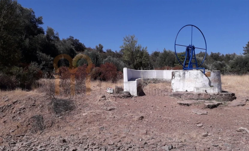Terreno Agricola ou Rústico para Venda em Alcoutim e Pereiro Foto 5