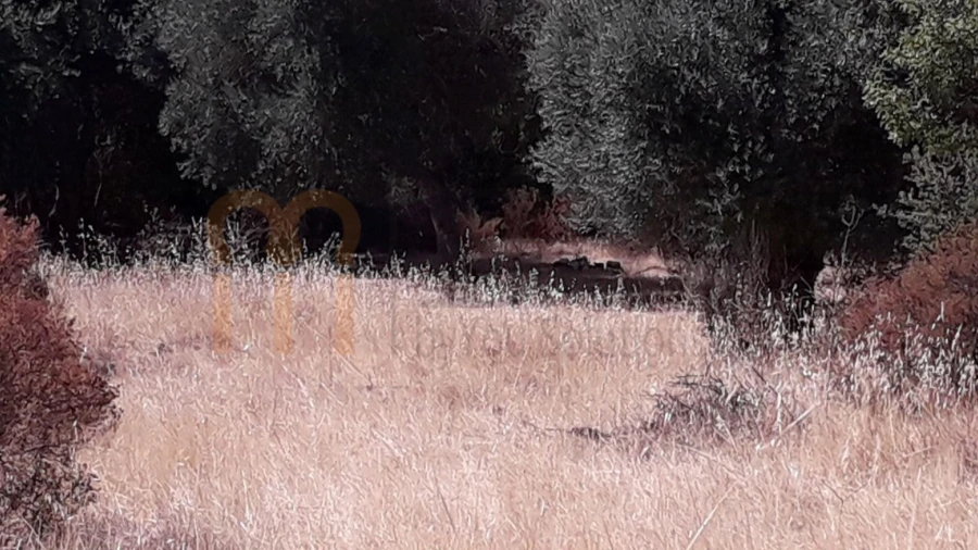 Terreno Agricola ou Rústico para Venda em Alcoutim e Pereiro