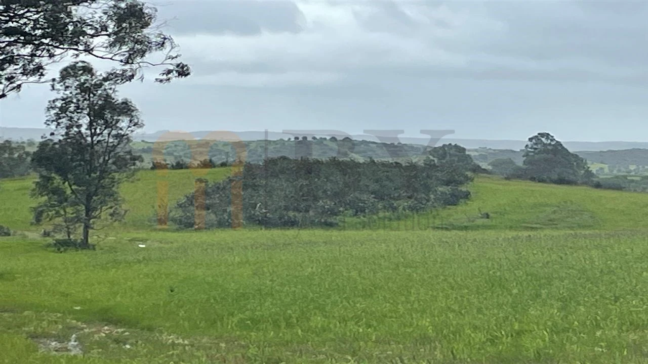 Terreno Agricola ou Rústico para Venda em Mertola Foto 7