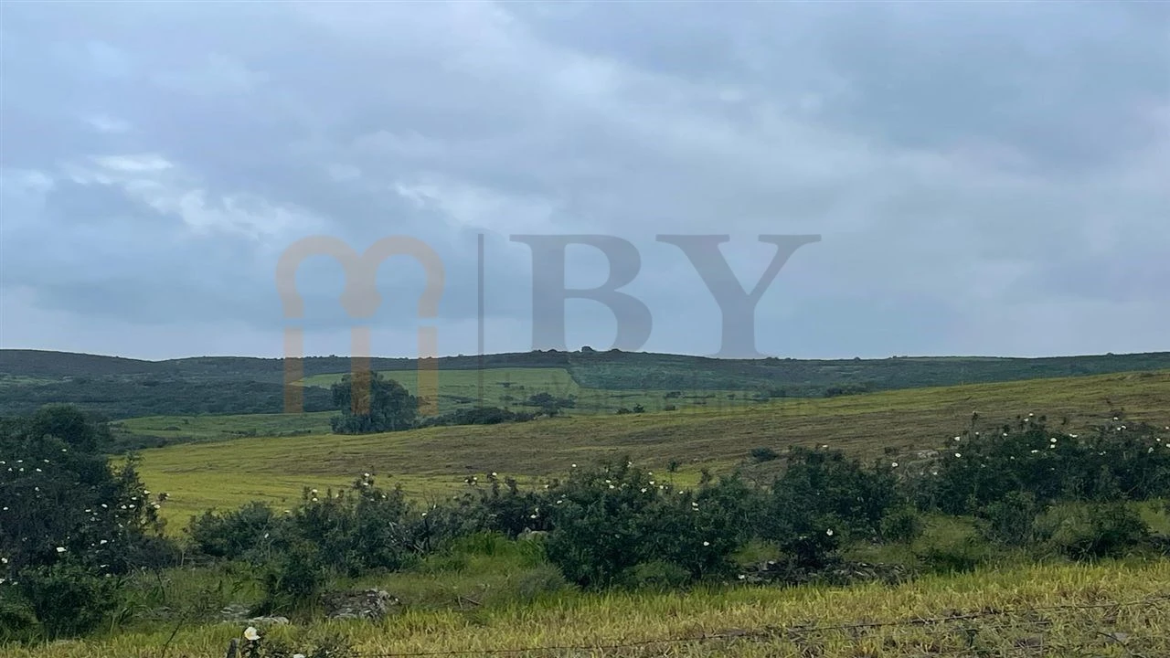 Terreno Agricola ou Rústico para Venda em Mertola Foto 10
