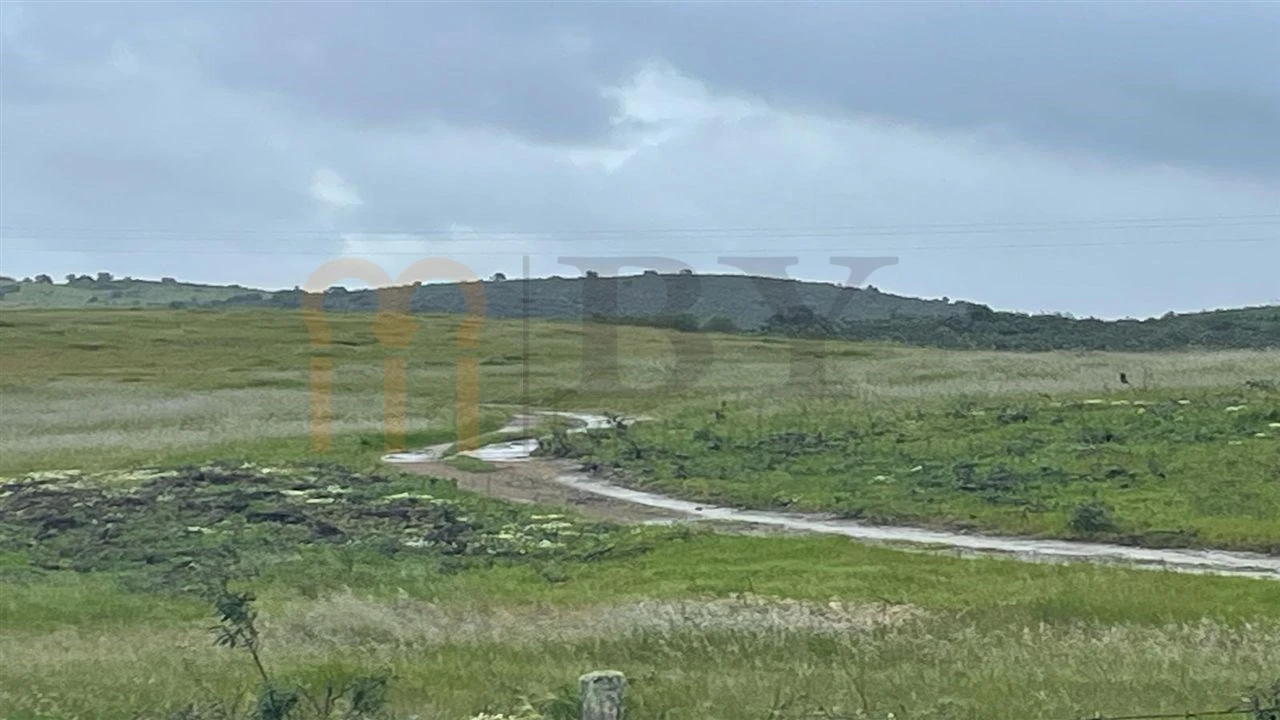 Terreno Agricola ou Rústico para Venda em Mertola Foto 11