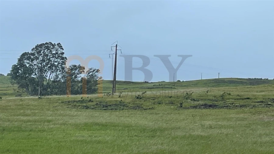 Terreno Agricola ou Rústico para Venda em Mertola Foto 8