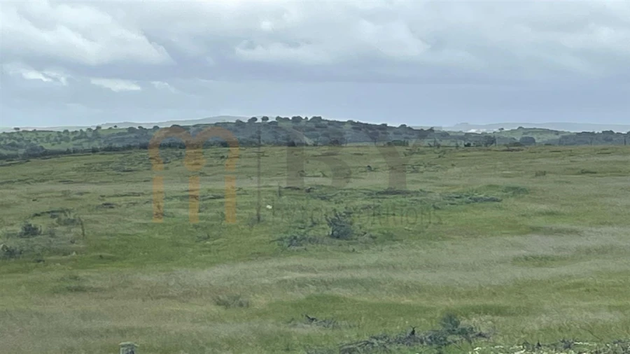 Terreno Agricola ou Rústico para Venda em Mertola Foto 9
