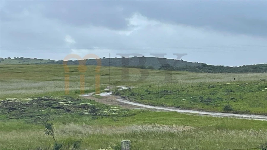 Terreno Agricola ou Rústico para Venda em Mertola Foto 11