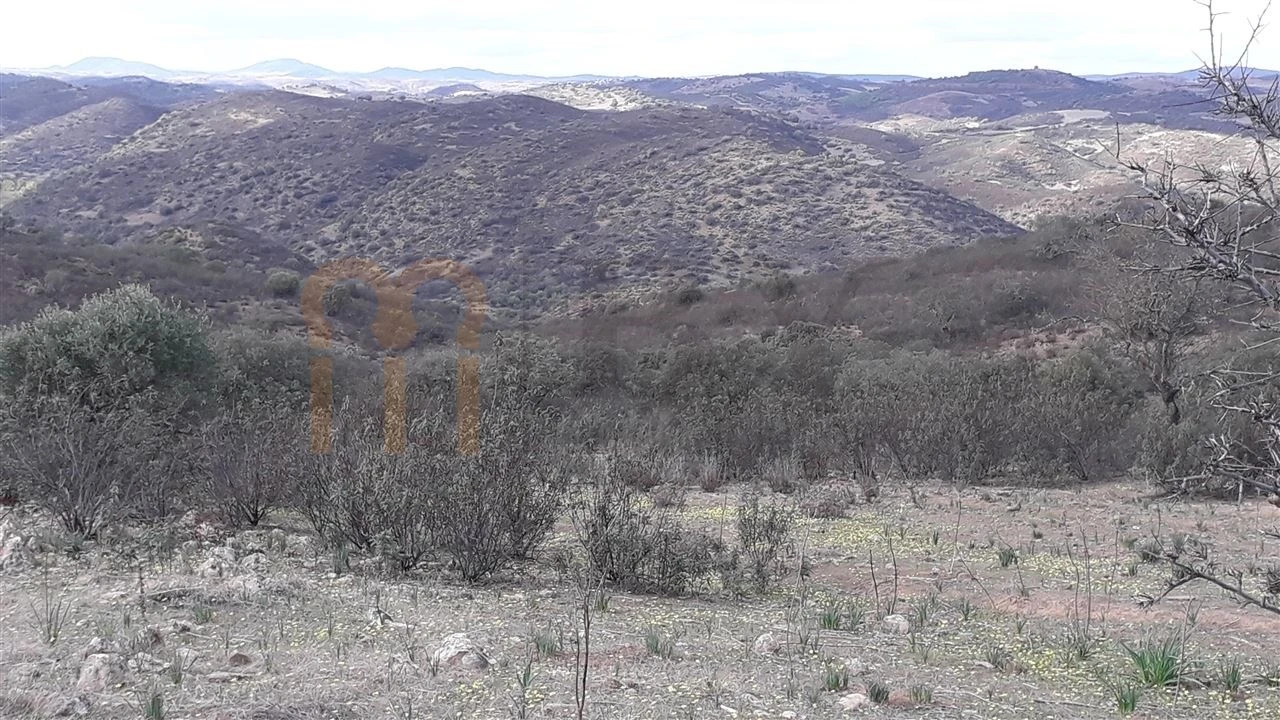 Terreno Agricola ou Rústico para Venda em Espirito Santo Foto 5