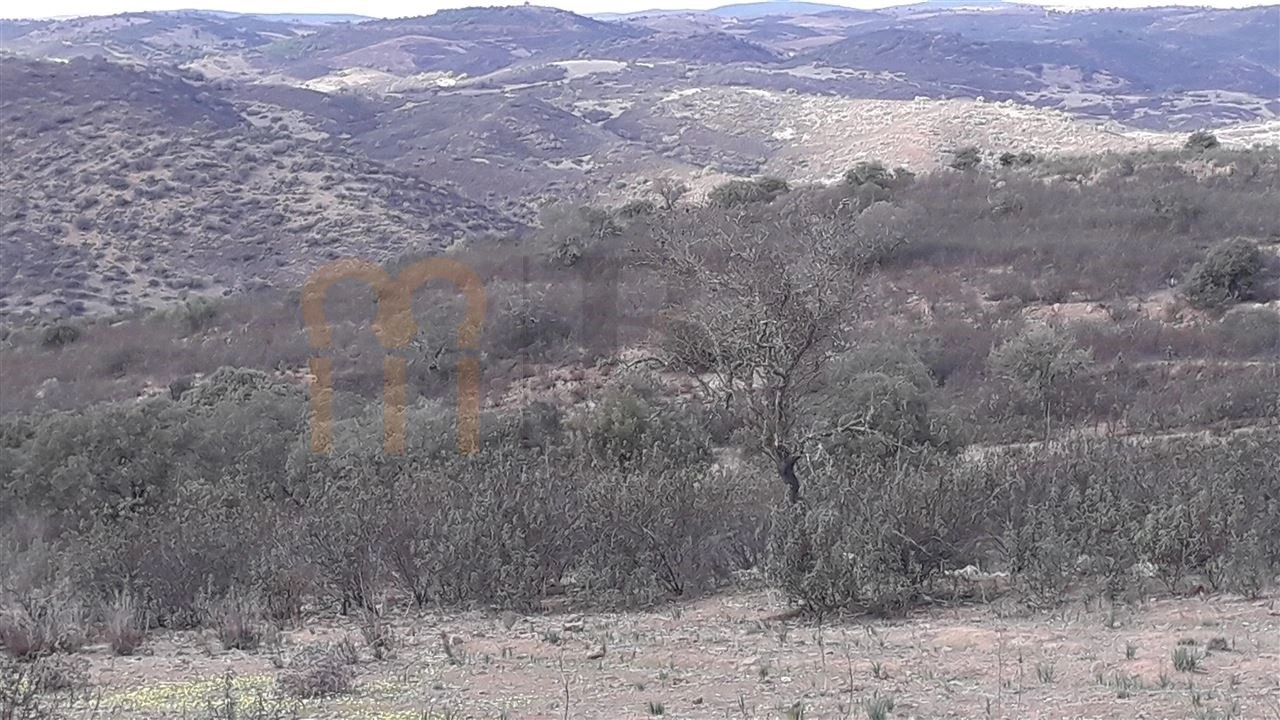 Terreno Agricola ou Rústico para Venda em Espirito Santo Foto 7