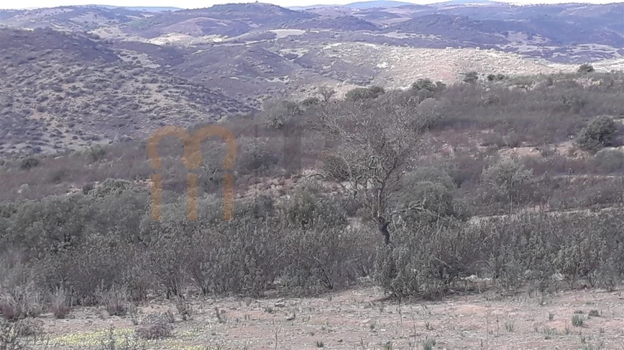 Terreno Agricola ou Rústico para Venda em Espirito Santo Foto 7