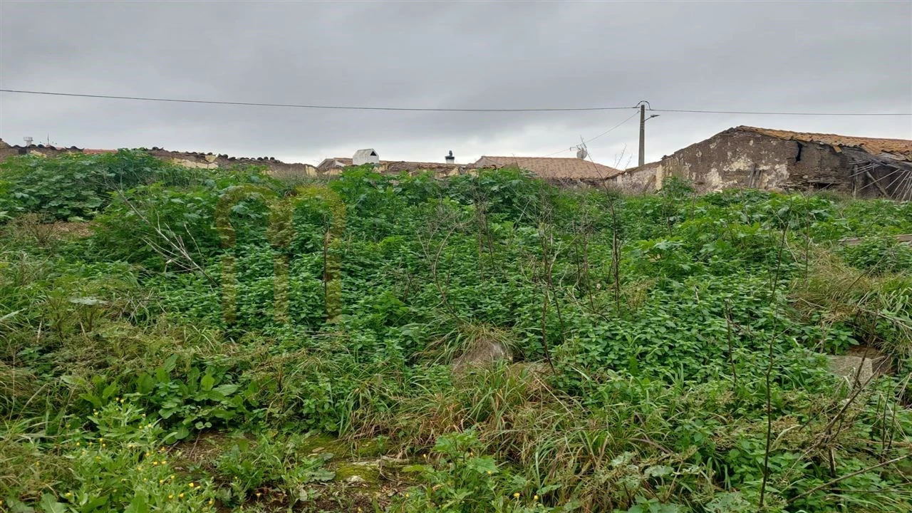 Quinta para Venda em Alcaria Ruiva Foto 9