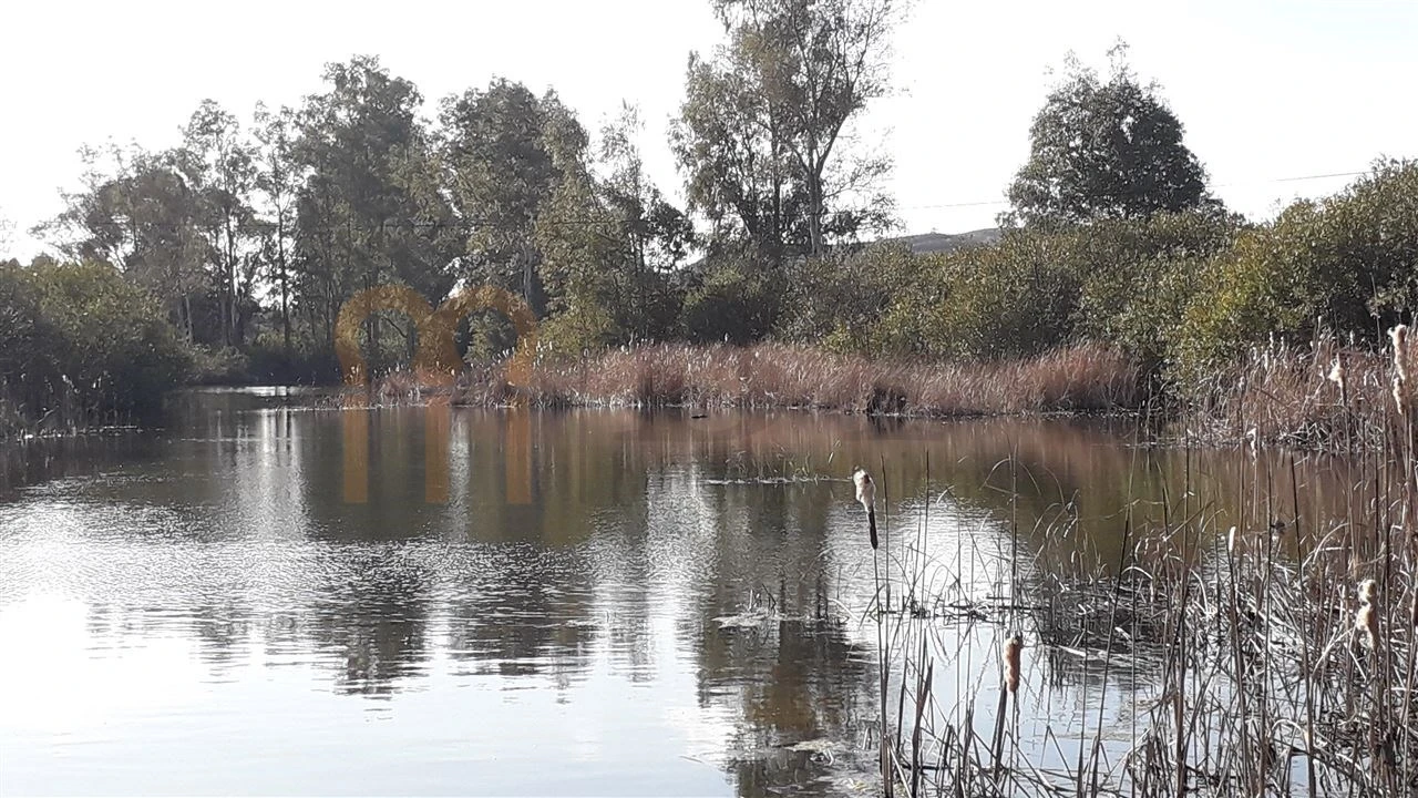 Quinta para Venda em São Miguel do Pinheiro, São Pedro de Solis, São Sebastião dos Carros Foto 5