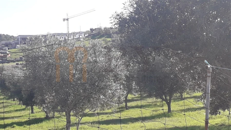 Quinta para Venda em São Miguel do Pinheiro, São Pedro de Solis, São Sebastião dos Carros Foto 2