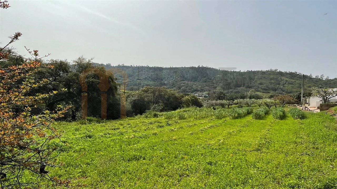 Terreno Agricola ou Rústico para Venda em Querença, Tôr e Benafim Foto 1