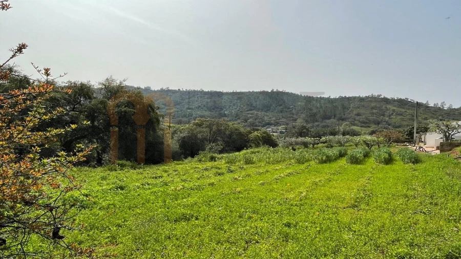 Terreno Agricola ou Rústico para Venda em Querença, Tôr e Benafim