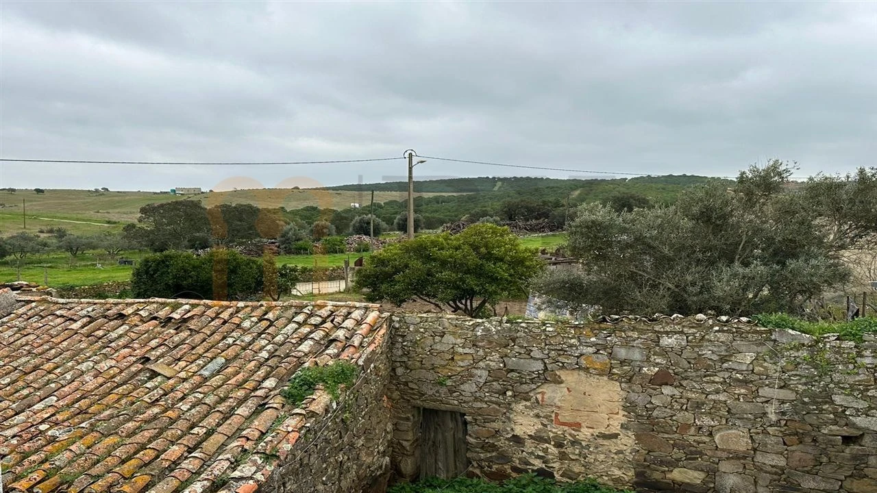 Terreno para Venda em São Miguel do Pinheiro, São Pedro de Solis, São Sebastião dos Carros Foto 7