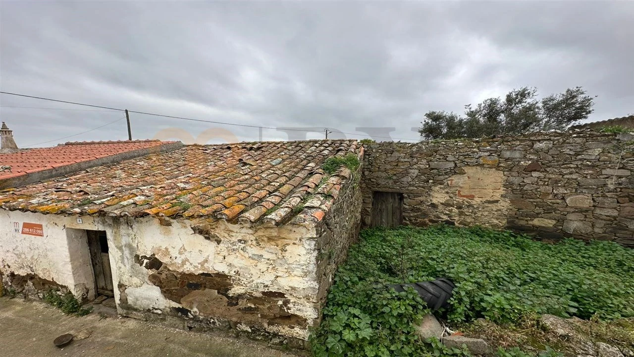 Terreno para Venda em São Miguel do Pinheiro, São Pedro de Solis, São Sebastião dos Carros Foto 9