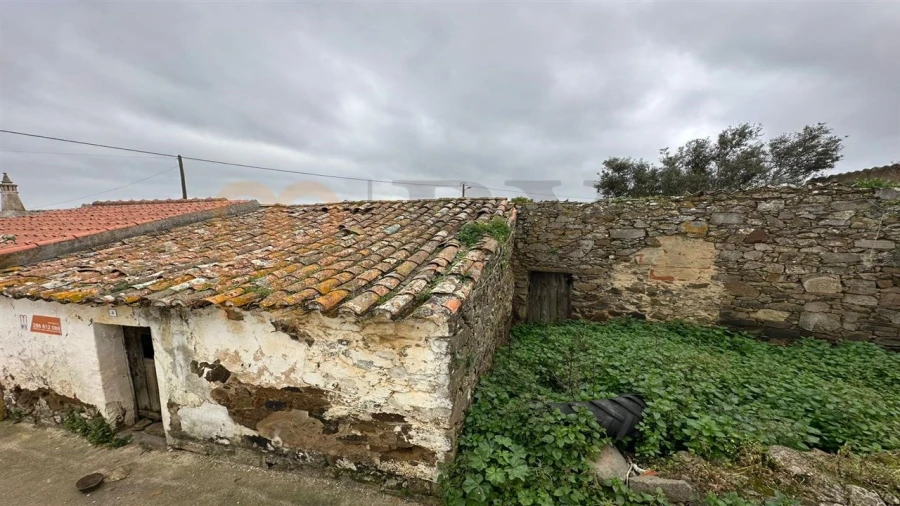Terreno para Venda em São Miguel do Pinheiro, São Pedro de Solis, São Sebastião dos Carros Foto 9