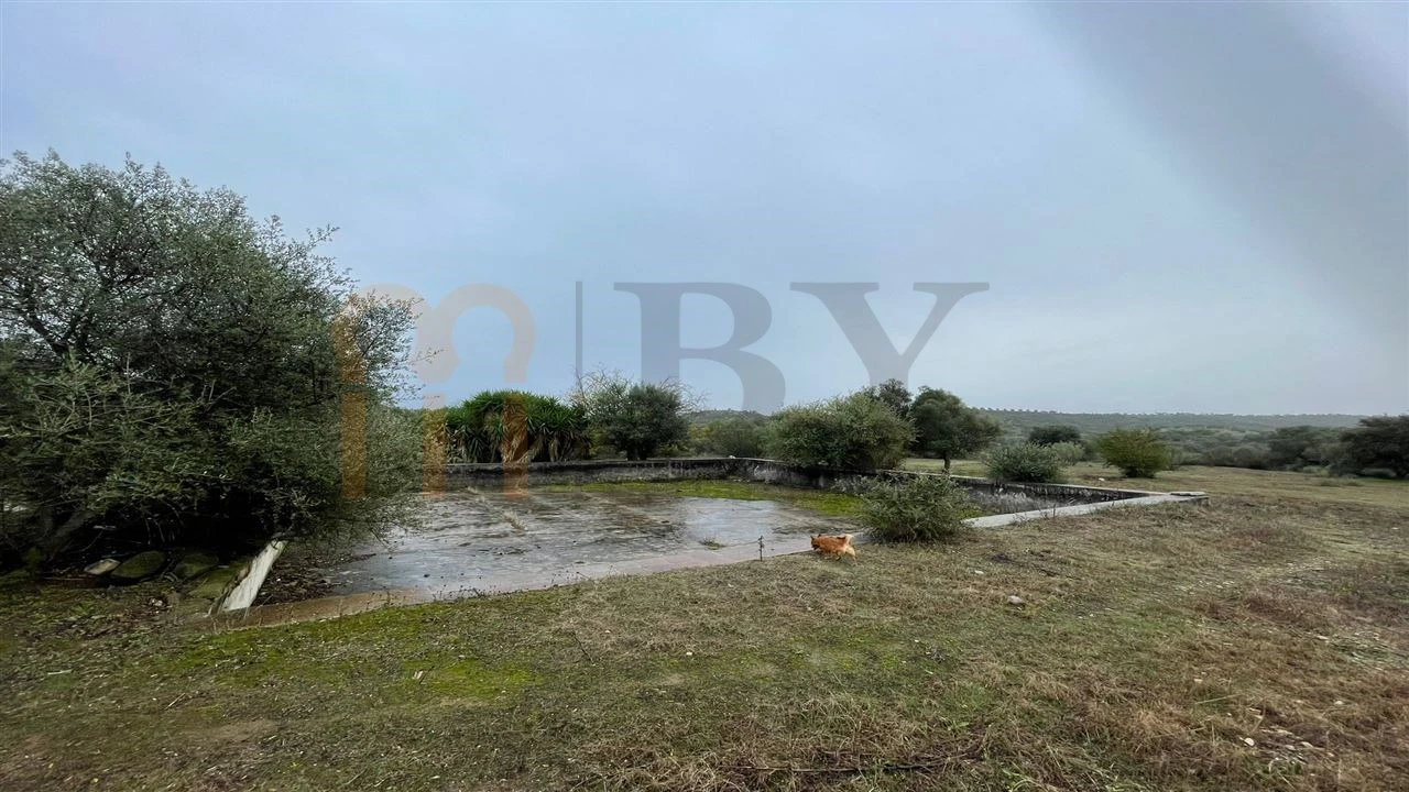 Quinta T4 para Venda em Serpa (Salvador e Santa Maria) Foto 7