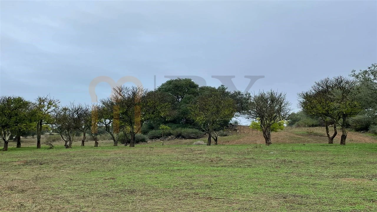 Quinta T4 para Venda em Serpa (Salvador e Santa Maria) Foto 13