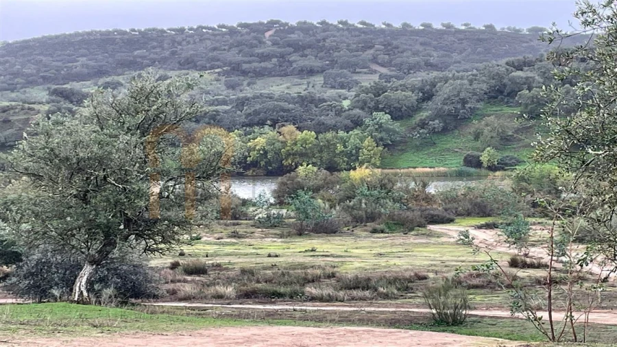Quinta T4 para Venda em Serpa (Salvador e Santa Maria) Foto 14