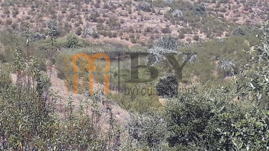 Quinta para Venda em Mertola