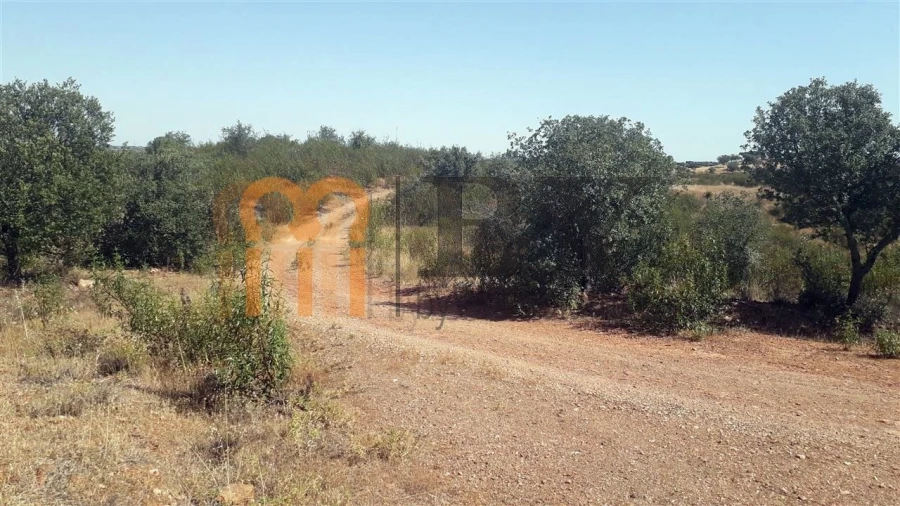 Quinta para Venda em Mertola Foto 15