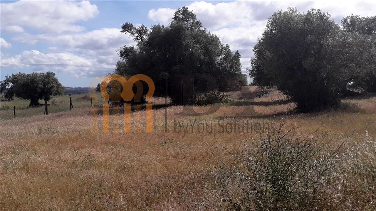 Terreno Agricola ou Rústico para Venda em Espirito Santo Foto 5