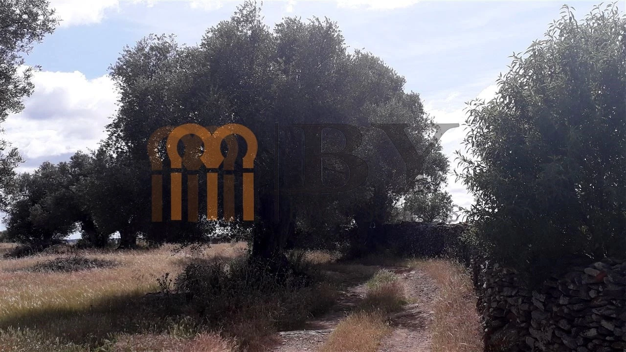 Terreno Agricola ou Rústico para Venda em Espirito Santo Foto 6