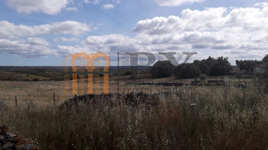 Terreno Agricola ou Rústico para Venda em Espirito Santo