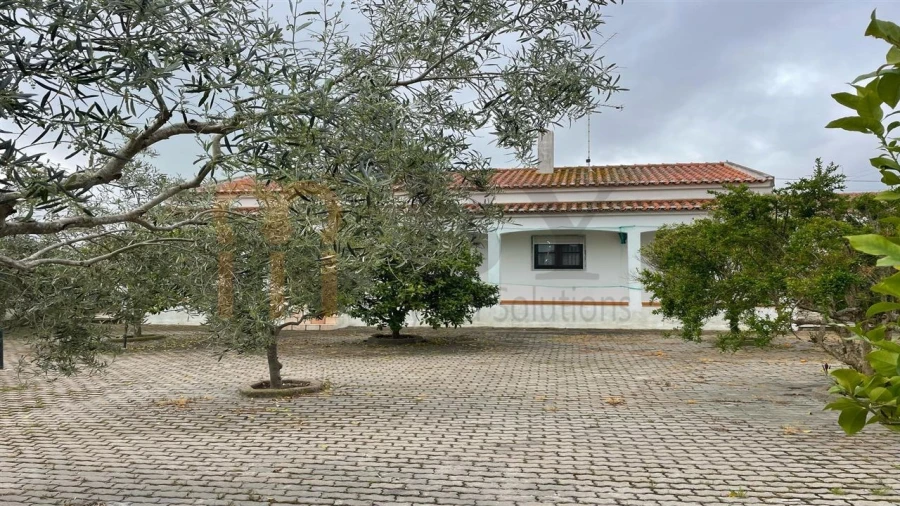 Moradia T3 para Venda em Santana de Cambas Foto 4