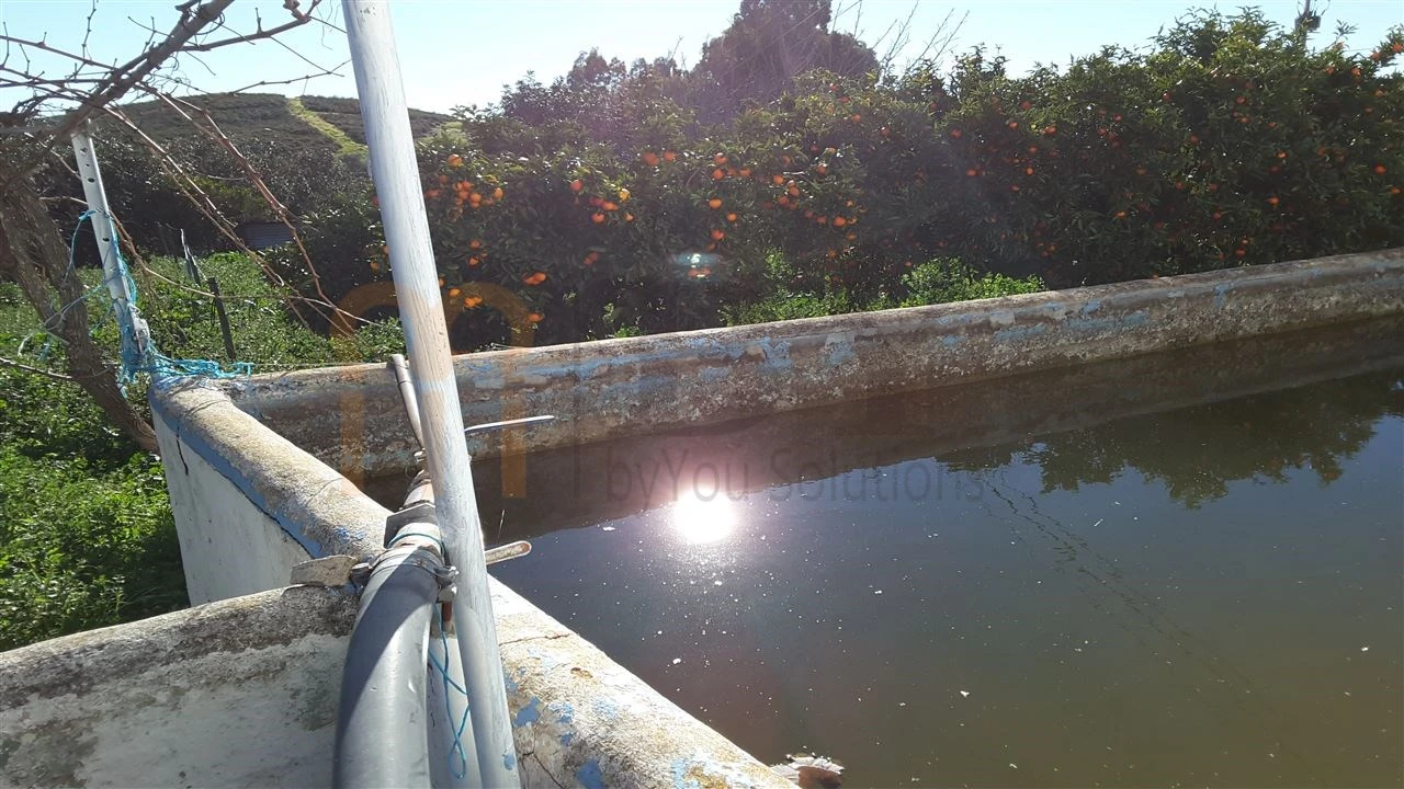 Quinta para Venda em Espirito Santo Foto 5