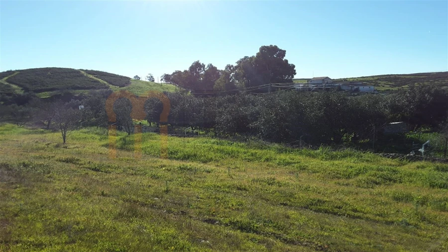Quinta para Venda em Espirito Santo Foto 4