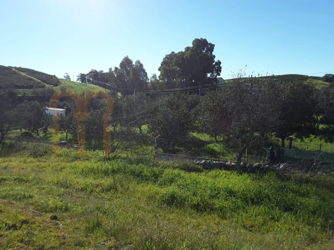 Quinta para Venda em Espirito Santo Foto 10