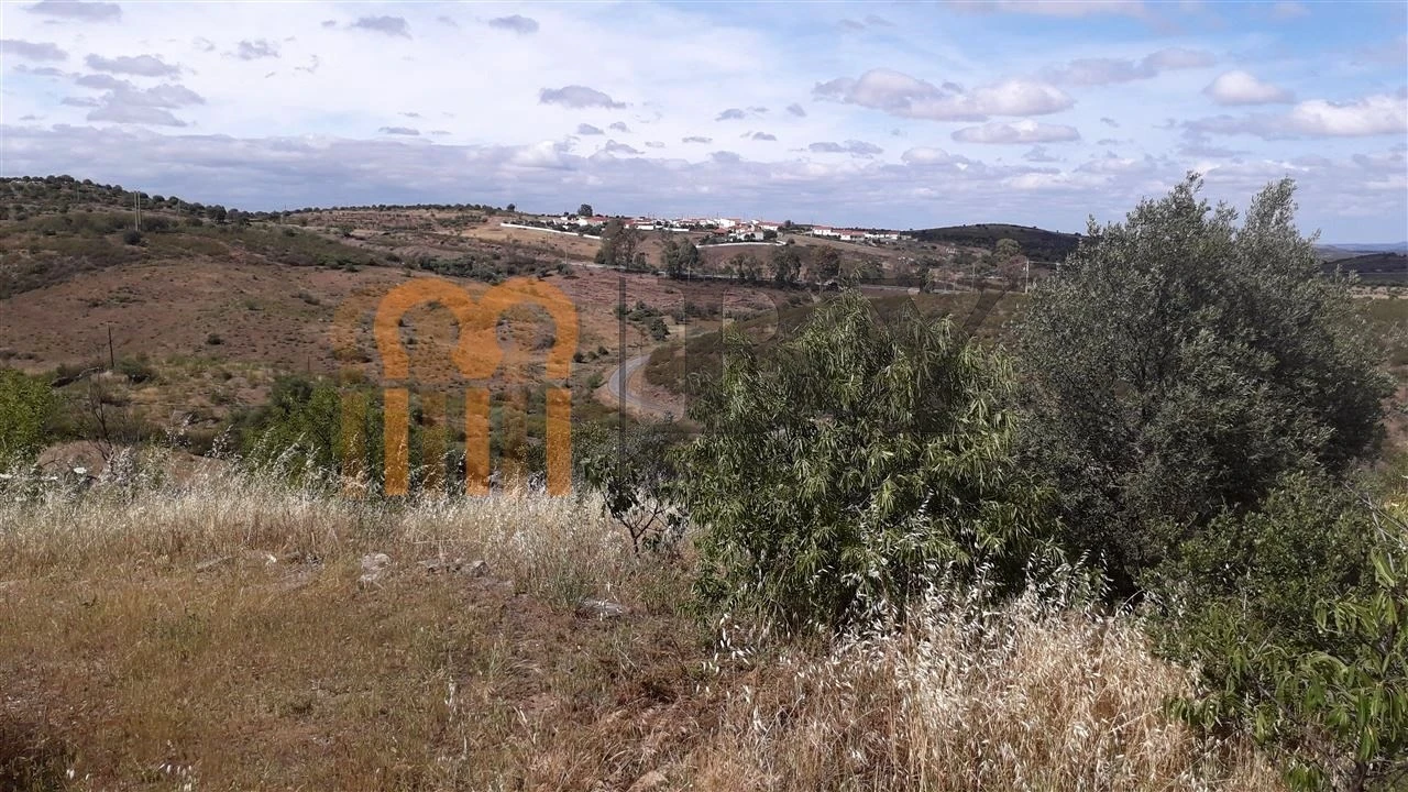 Terreno Agricola ou Rústico para Venda em Espirito Santo Foto 4