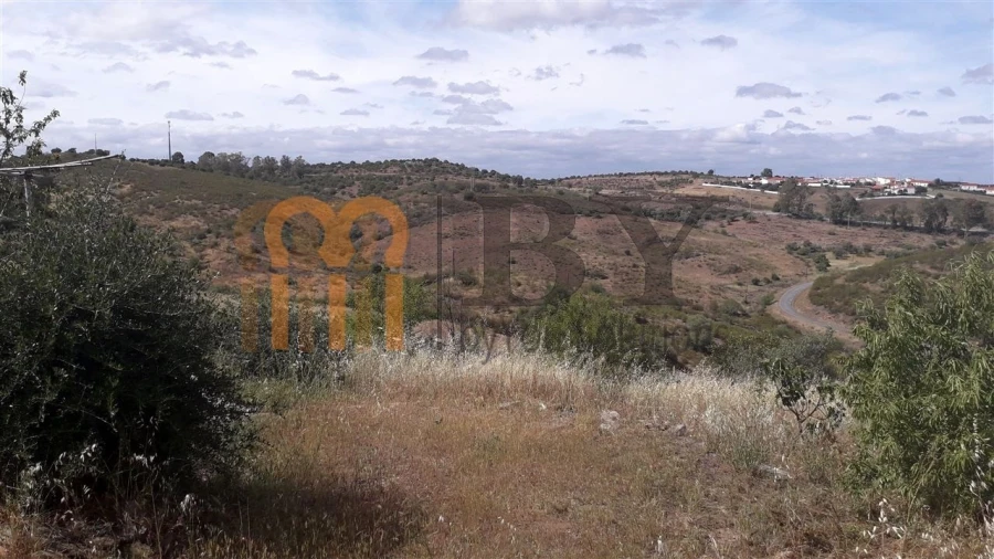 Terreno Agricola ou Rústico para Venda em Espirito Santo Foto 3