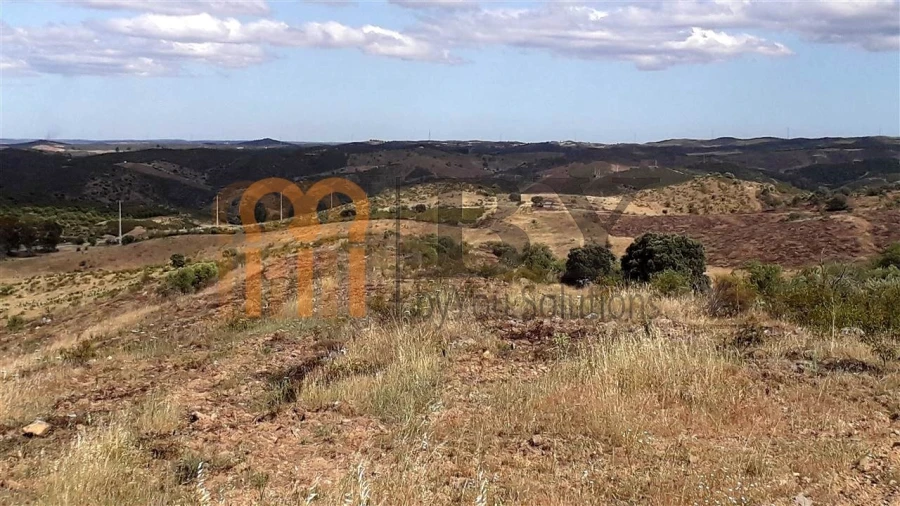 Terreno Agricola ou Rústico para Venda em Espirito Santo Foto 7