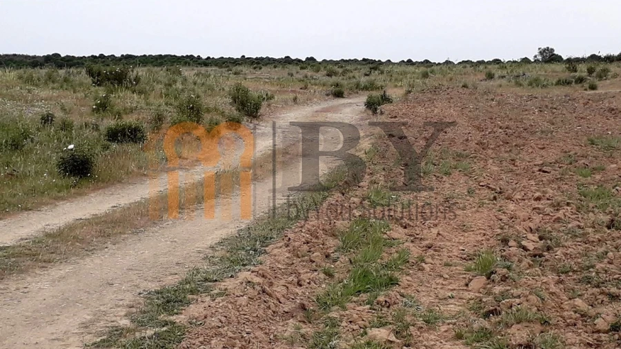 Terreno Agricola ou Rústico para Venda em Espirito Santo