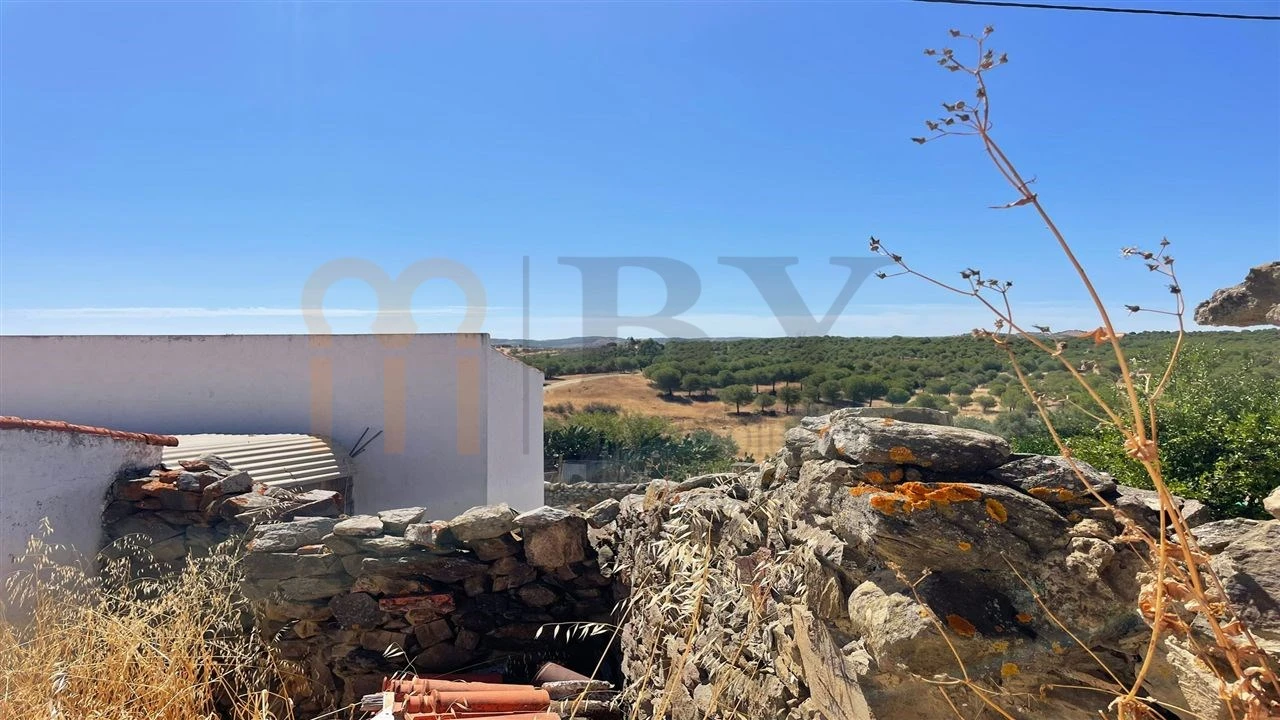 Quinta para Venda em São Miguel do Pinheiro, São Pedro de Solis, São Sebastião dos Carros Foto 16