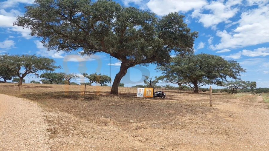 Terreno Agricola ou Rústico para Venda em Alcaria Ruiva