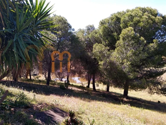 Quinta para Venda em Corte do Pinto Foto 9